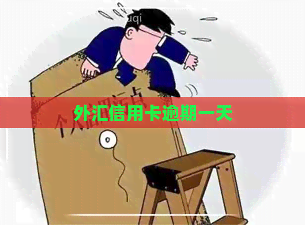 外汇信用卡逾期一天