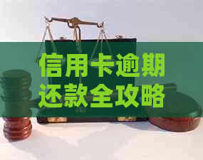 信用卡逾期还款全攻略：如何制定还款计划、协商期还款及降低利息负担