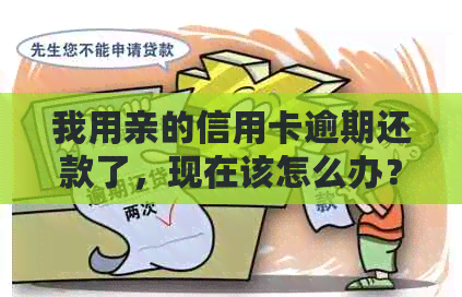 我用亲的信用卡逾期还款了，现在该怎么办？