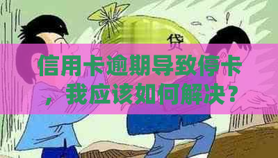 信用卡逾期导致停卡，我应该如何解决？逾期还款后果与恢复信用的步骤解析