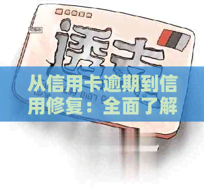 从信用卡逾期到信用修复：全面了解逾期影响及解决方法