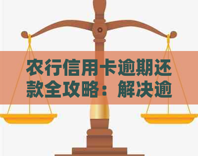 农行信用卡逾期还款全攻略：解决逾期问题、降低罚息、恢复信用的实用指南