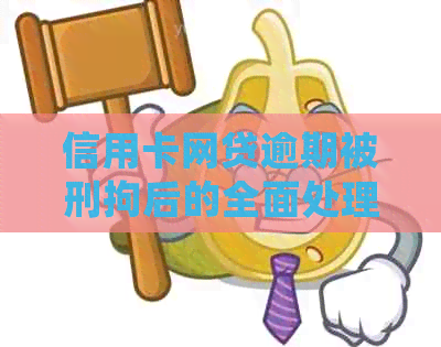 信用卡网贷逾期被刑拘后的全面处理方法和解决方案