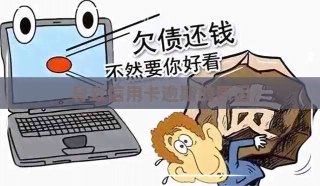 导致信用卡逾期的原因