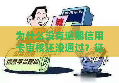 为什么没有逾期信用卡审核还没通过？良好，申请多次被拒的原因是什么？