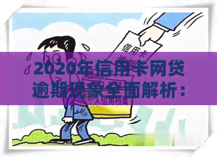 2020年信用卡网贷逾期现象全面解析：原因、影响与解决方案