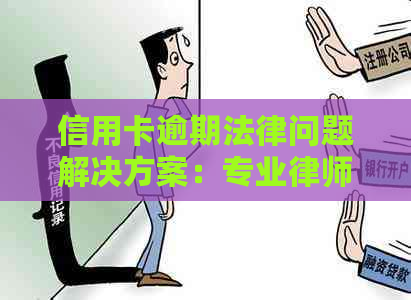 信用卡逾期法律问题解决方案：专业律师咨询保障您的权益