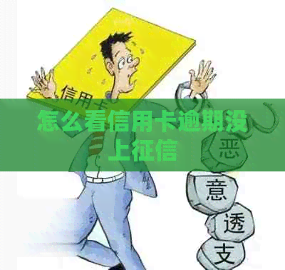 怎么看信用卡逾期没上