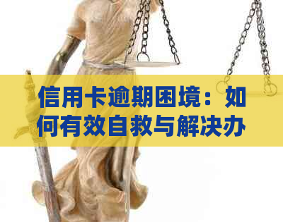 信用卡逾期困境：如何有效自救与解决办法