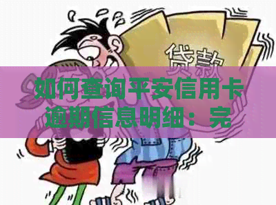 如何查询平安信用卡逾期信息明细：完整指南，解答您的所有疑问