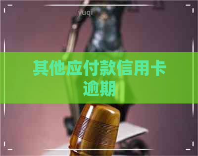 其他应付款信用卡逾期