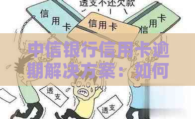 中信银行信用卡逾期解决方案：如何应对单币信用卡的还款挑战