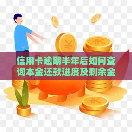 信用卡逾期半年后如何查询本金还款进度及剩余金额？