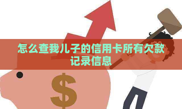 怎么查我儿子的信用卡所有欠款记录信息