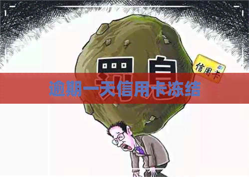 逾期一天信用卡冻结