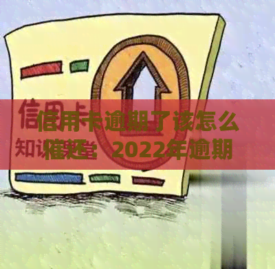 信用卡逾期了该怎么催还：2022年逾期流程与利息处理攻略