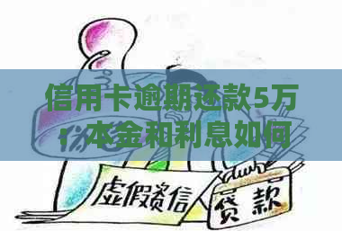 信用卡逾期还款5万：本金和利息如何计算？了解详细规则避免额外费用！