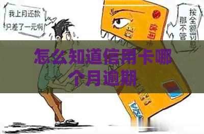 怎么知道信用卡哪个月逾期