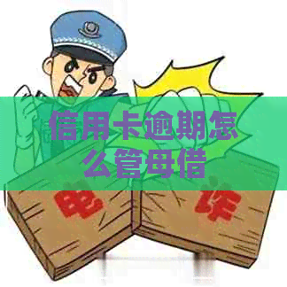 信用卡逾期怎么管母借