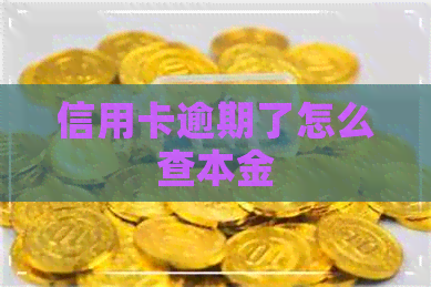 信用卡逾期了怎么查本金