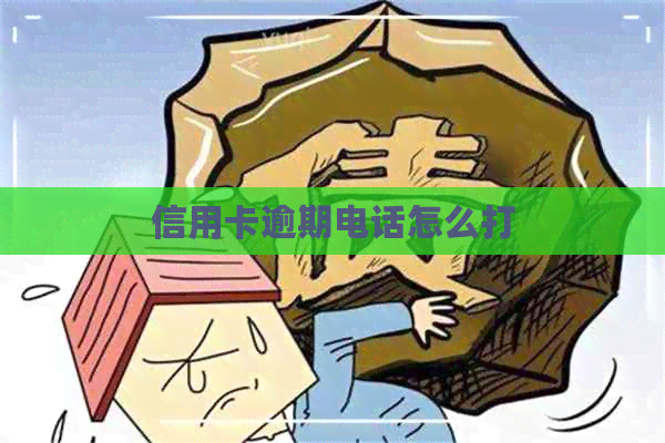 信用卡逾期电话怎么打