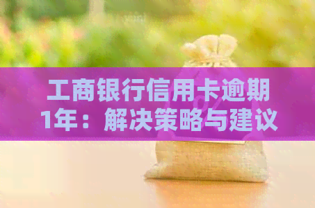 工商银行信用卡逾期1年：解决策略与建议