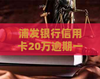 浦发银行信用卡20万逾期一年：通过法律途径解决的详细流程与关键因素