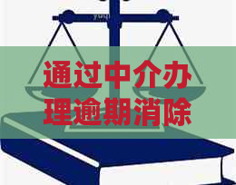 通过中介办理逾期消除-通过中介办理逾期消除合同