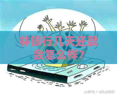 林银行几天还款会怎么样？