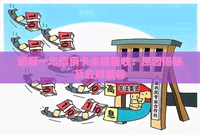 逾期一年信用卡未被：原因揭秘及应对策略