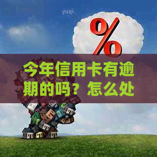 今年信用卡有逾期的吗？怎么处理？2020年逾期人数多吗？