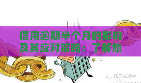 信用逾期半个月的影响及其应对策略：了解您的信用状况和恢复信誉的途径