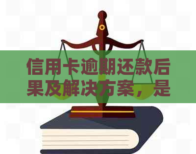 信用卡逾期还款后果及解决方案，是否会涉及公安局调查？