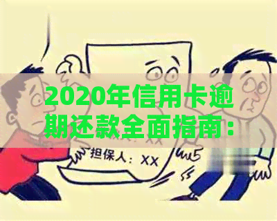 2020年信用卡逾期还款全面指南：标准、后果与应对策略