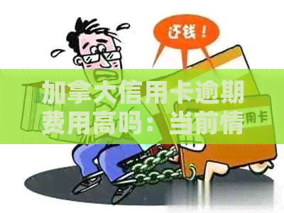 加拿大信用卡逾期费用高吗：当前情况与后果探究