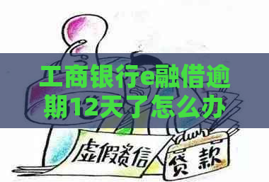 工商银行e融借逾期12天了怎么办