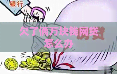 欠了俩万块钱网贷怎么办