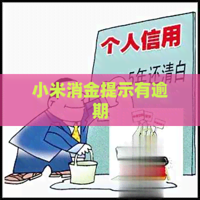 小米消金提示有逾期