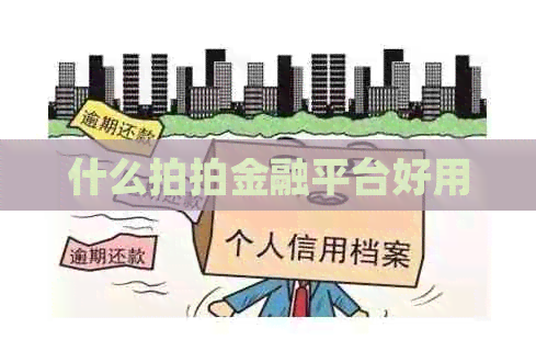 什么拍拍金融平台好用