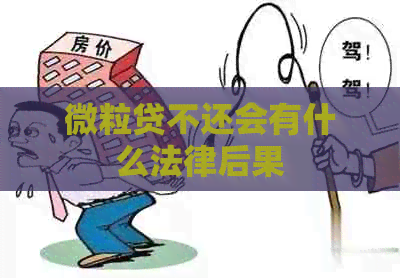 微粒贷不还会有什么法律后果