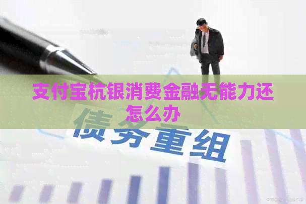 支付宝杭银消费金融无能力还怎么办