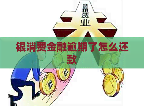 银消费金融逾期了怎么还款