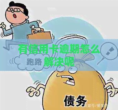 有信用卡逾期怎么解决呢