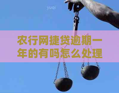 农行网捷贷逾期一年的有吗怎么处理