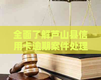 全面了解芦山县信用卡逾期案件处理方式与查询方法，解决用户相关搜索问题