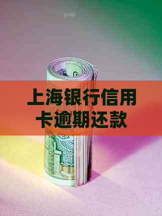 上海银行信用卡逾期还款10000元，是否会面临法律诉讼？