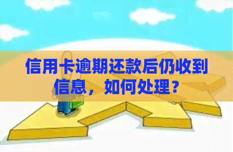 信用卡逾期还款后仍收到信息，如何处理？