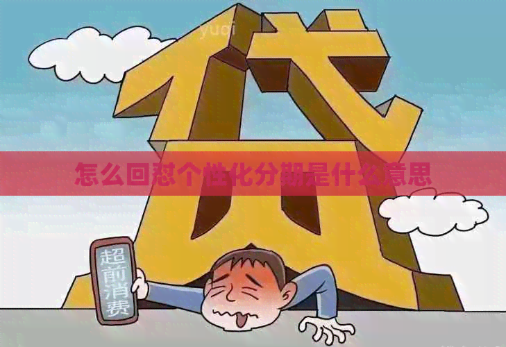 怎么回怼个性化分期是什么意思