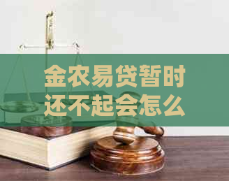 金农易贷暂时还不起会怎么样