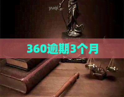 360逾期3个月